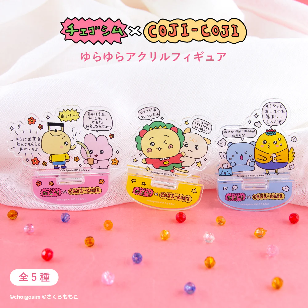 チェゴシム12/24新着商品