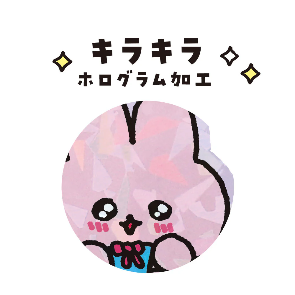 チェゴシムシークレットホログラムステッカー みんな(ランダム10種) - Image 12